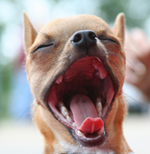 I wanted to scream!
