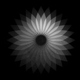 black-and-white1