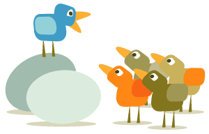 twitter followers