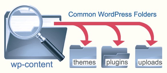 common WordPress folders