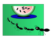 ants at a picnic