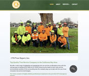 Tree Service website