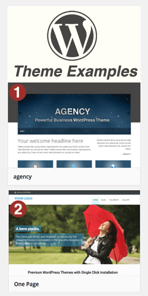 WordPress theme examples