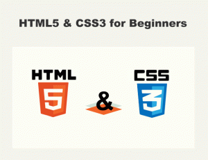 HTML5 & CSS3 for Beginners