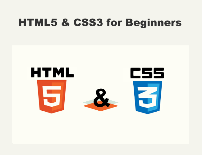 HTML5 & CSS3 for Beginners