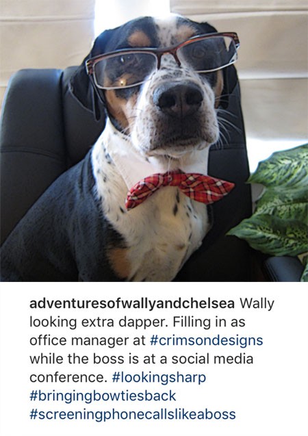 Instagram Expressive Hashtags - humorous