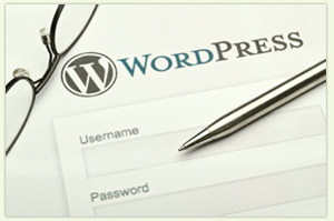 WordPress CMS login